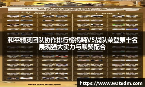 和平精英团队协作排行榜揭晓V5战队荣登第十名展现强大实力与默契配合