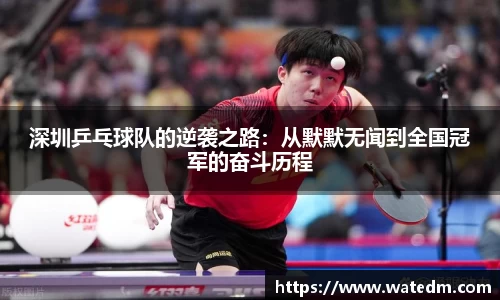 深圳乒乓球队的逆袭之路：从默默无闻到全国冠军的奋斗历程